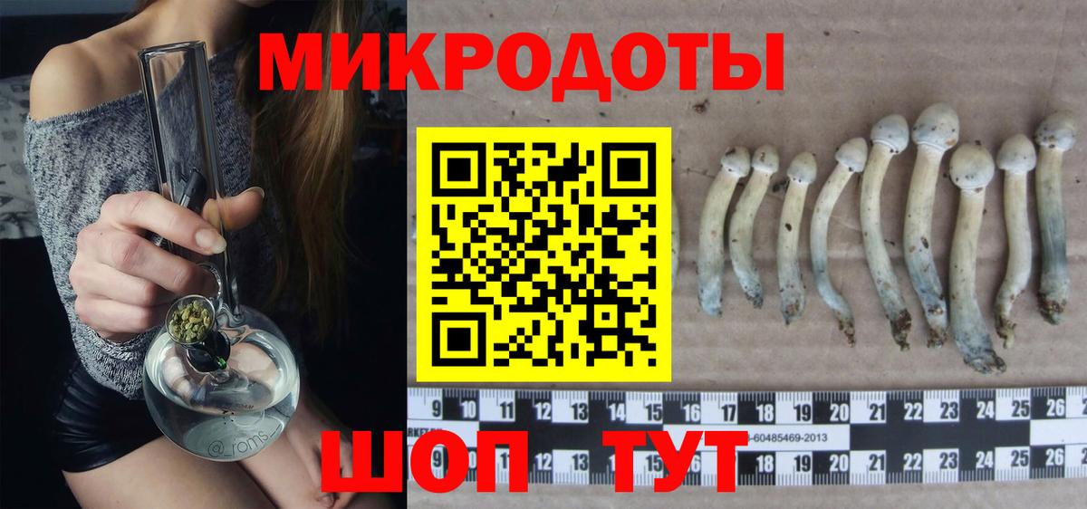 Краснознаменск  где купить   Вход с VPN  Псилоцибиновые грибы ЛСД  Галлюциногенные грибы Cubensis 